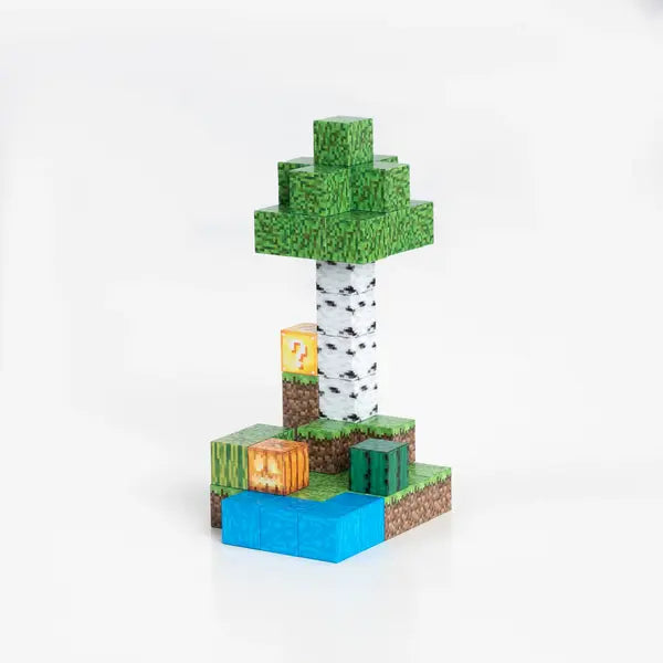 Oasis Magnetic Blocks